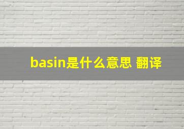 basin是什么意思 翻译